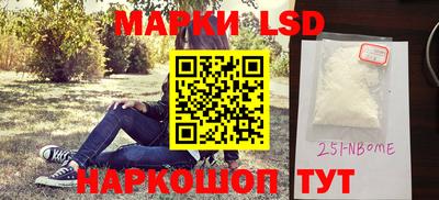 гидра Бердск