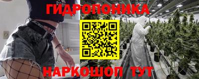 гидра Бердск