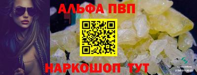 гидра Бердск