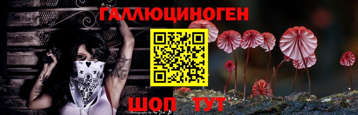Долгопрудный  Галлюциногенные грибы GOLDEN TEACHER  Вход с VPN 